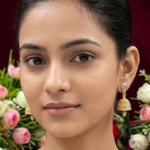 Aakarshak kanni butti